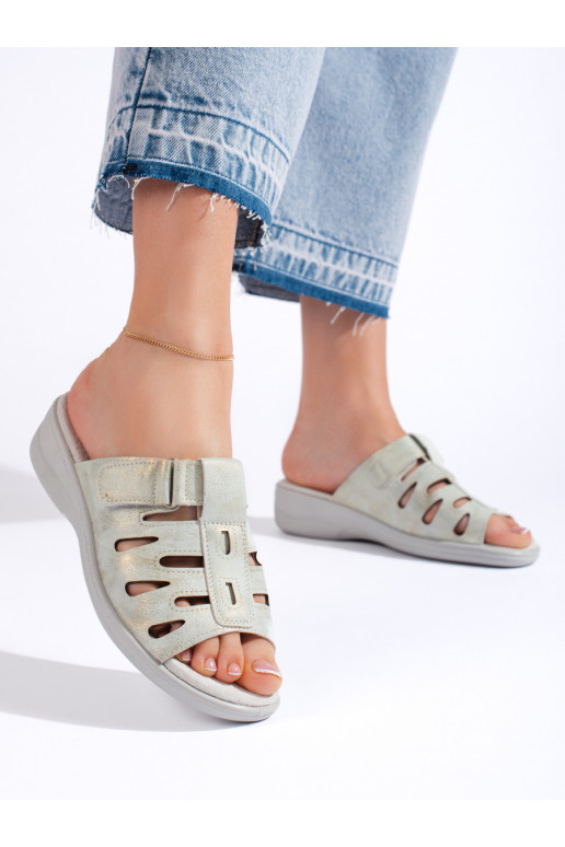   plätud halli värvi