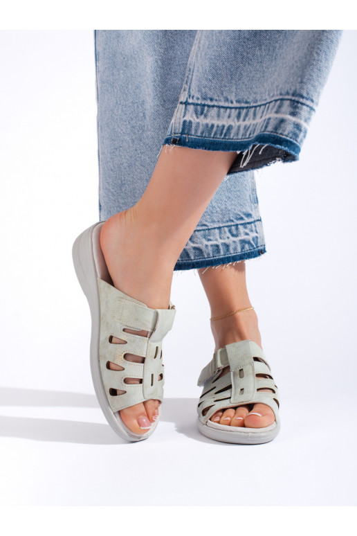   plätud halli värvi