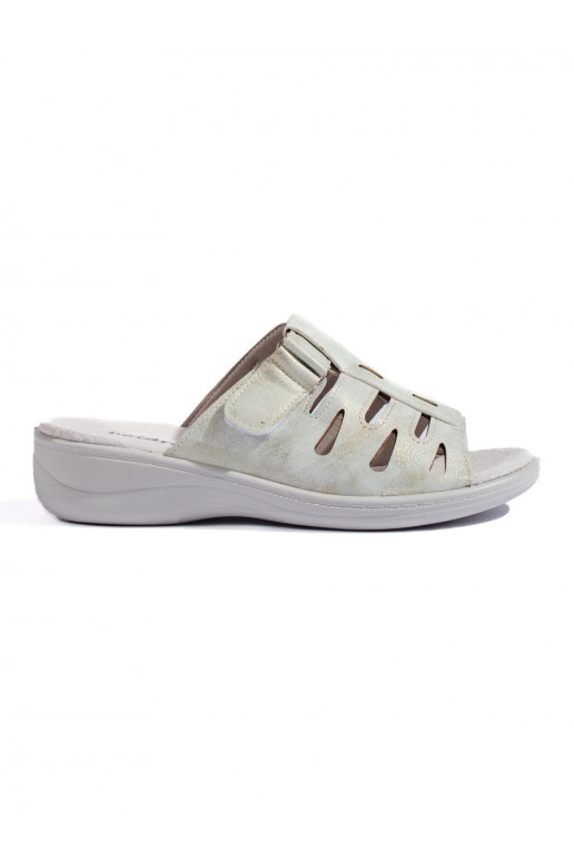   plätud halli värvi