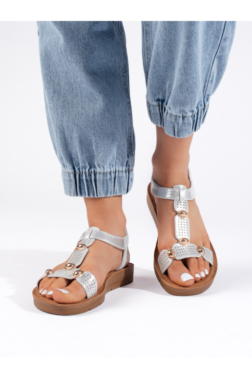 Hõbedat värvi kingad  