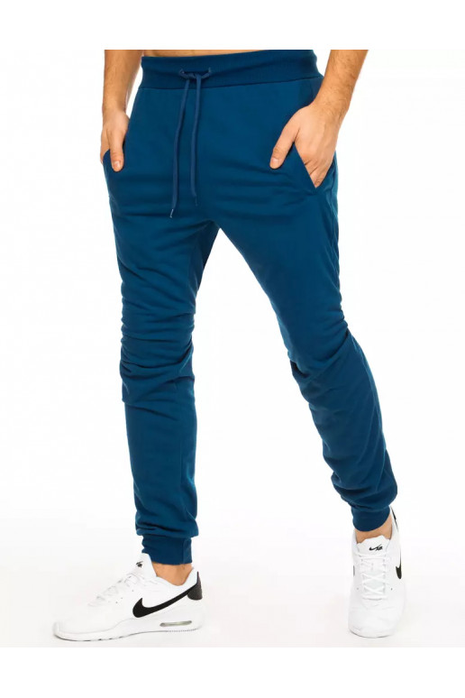 Meeste sinised dressipüksid Meeste sinised dressipüksid