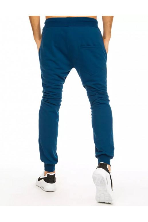 Meeste sinised dressipüksid Meeste sinised dressipüksid