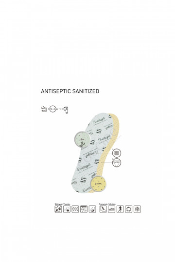 Coccine antibakteriaalne Lisad Sanitised Antiseptic 2