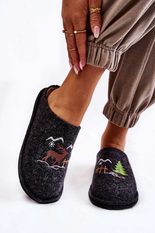 kodujalatsid sussid Big Star KK276018 -beeži värvi