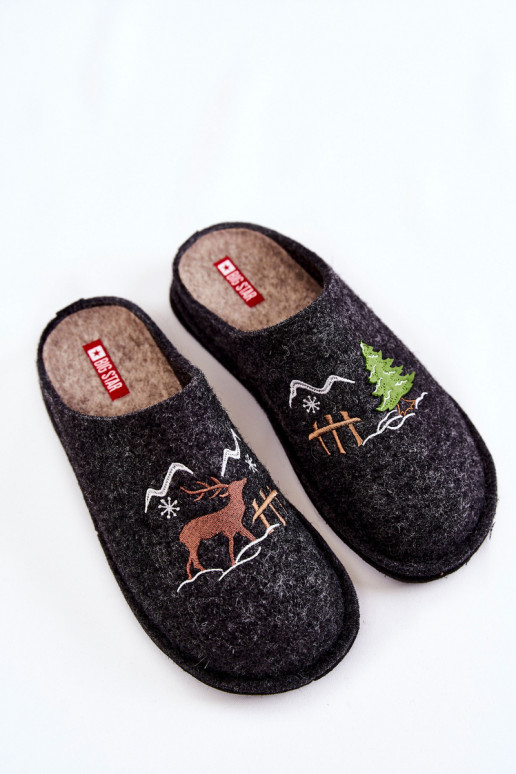 kodujalatsid sussid Big Star KK276018 -beeži värvi