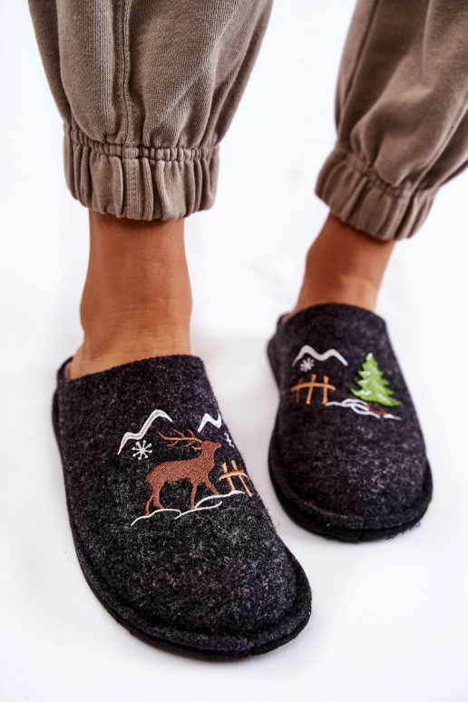 kodujalatsid sussid Big Star KK276018 -beeži värvi