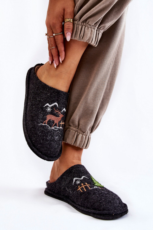 kodujalatsid sussid Big Star KK276018 -beeži värvi