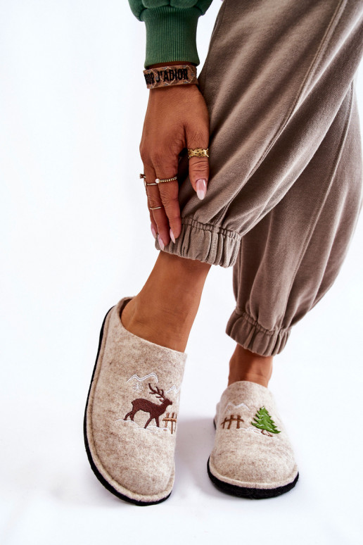 kodujalatsid sussid Big Star KK276016 beeži värvi