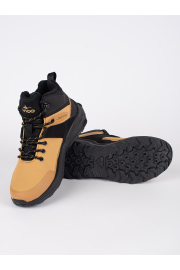 pruunid värvi  kingad   2