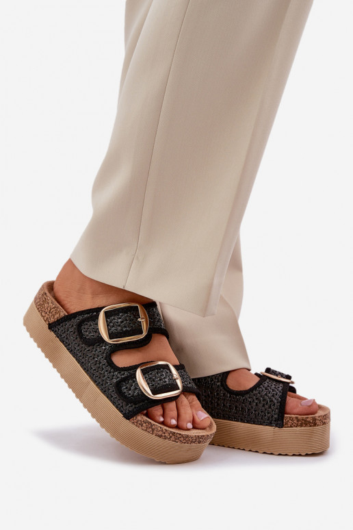 Sussid  I neetide ja pandlagami platvormiga Must Aralissea Sussid  I neetide ja pandlagami platvormiga Must Aralissea