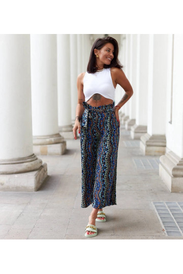 Archimede meresinised laiad...