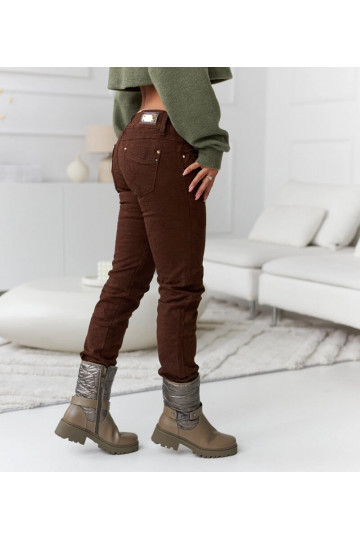 Pruuni mustriga Lévesque... 2