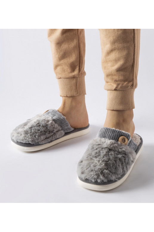 Lakelandi hallid isoleeritud sussid