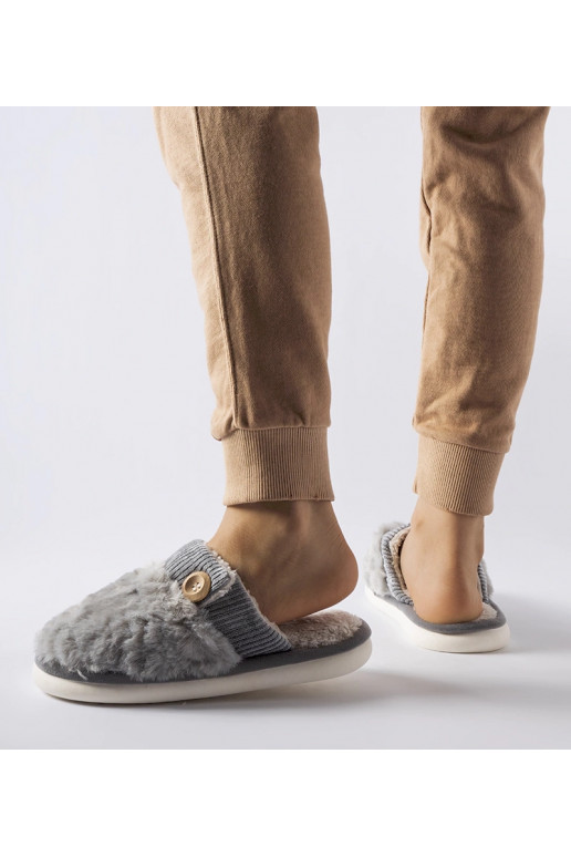 Lakelandi hallid isoleeritud sussid