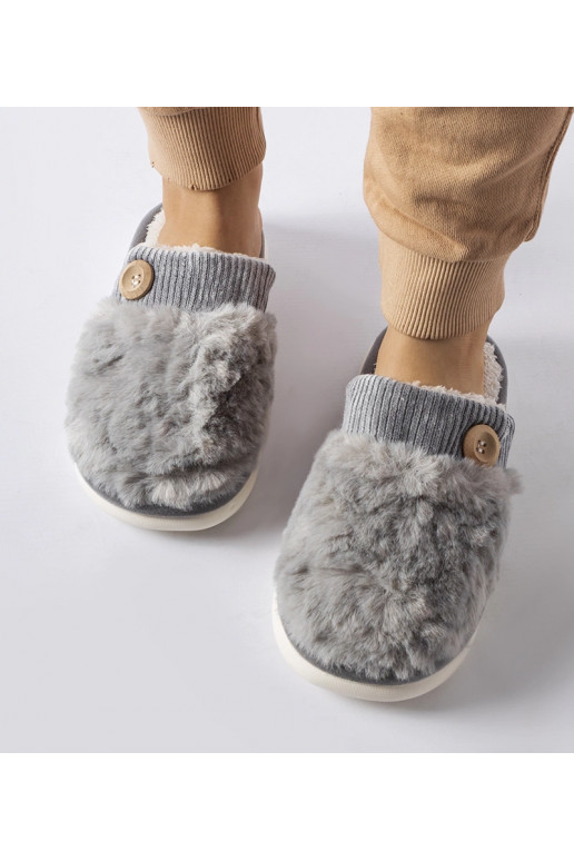 Lakelandi hallid isoleeritud sussid