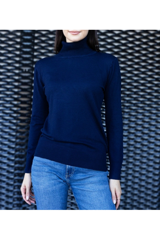 Meresinine avara liibuva kilpkonnaga...