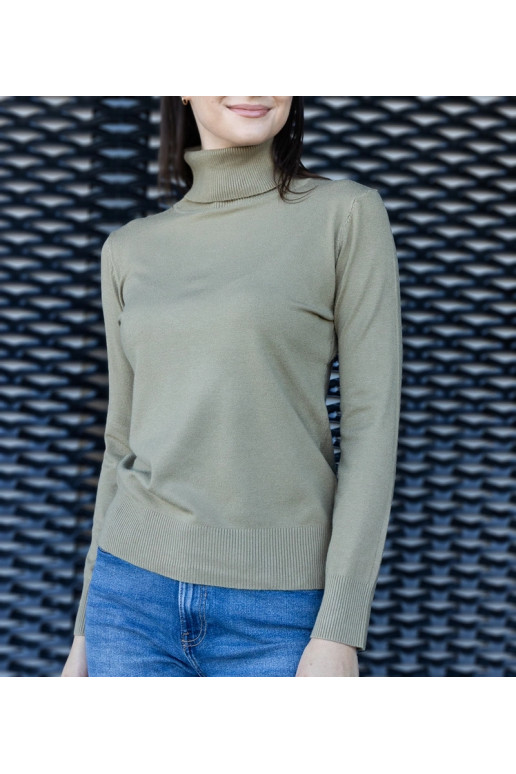 Roheline avara liibuva kilpkonnaga Nida