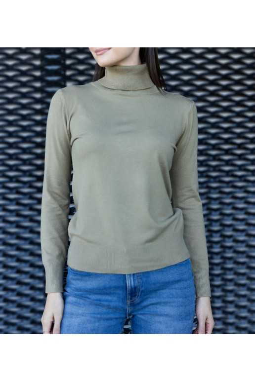 Roheline avara liibuva kilpkonnaga Nida