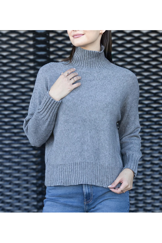 Lukana hall avara liibuva kilpkonnaga