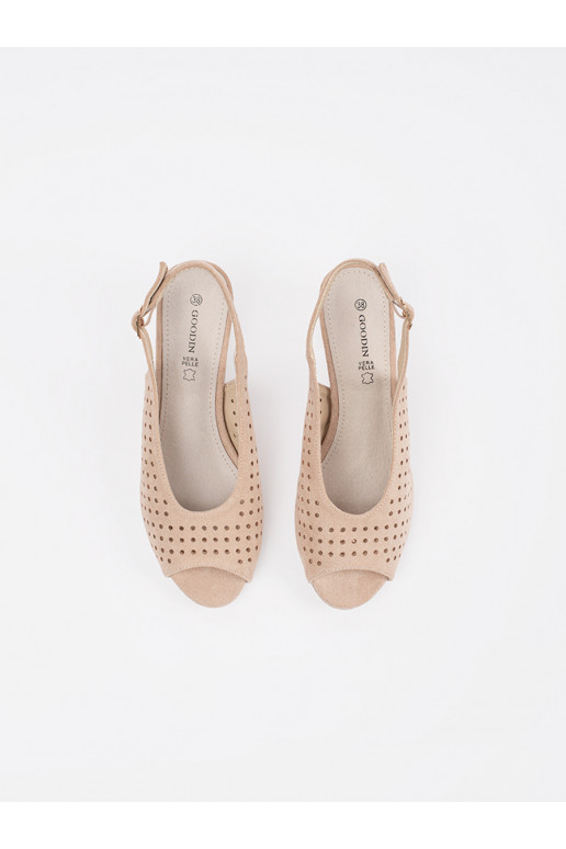 Elevandiluu värvi kingad 