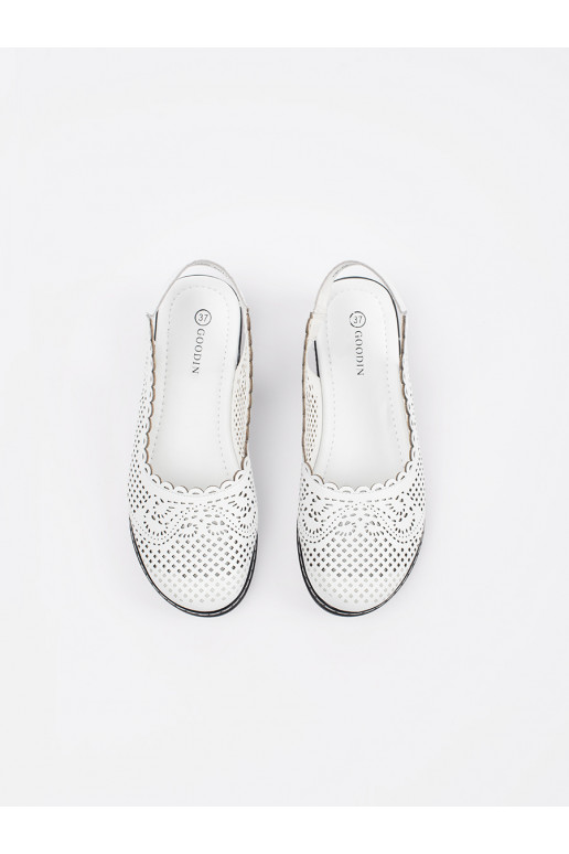 valget värvi kingad  