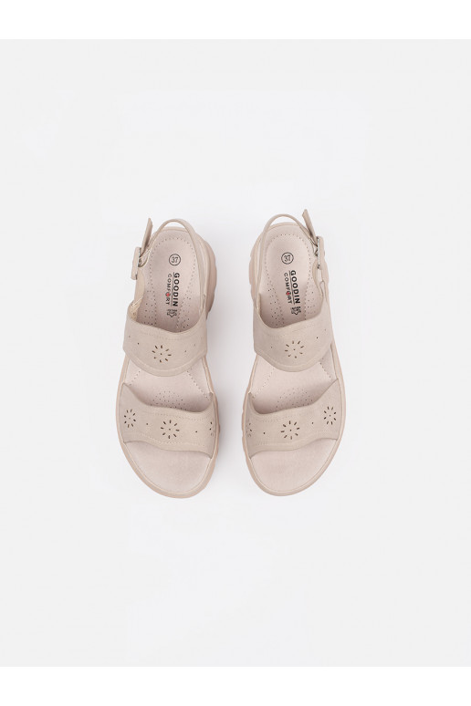 Elevandiluu värvi kingad  