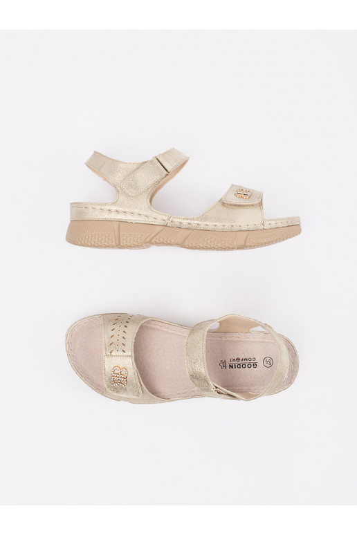 Kuldset värvi kingad  Kuldset värvi kingad