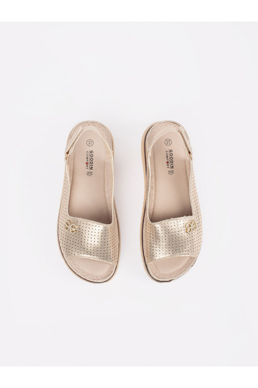 miękkie kingad   miękkie kingad