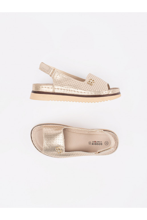 miękkie kingad   miękkie kingad