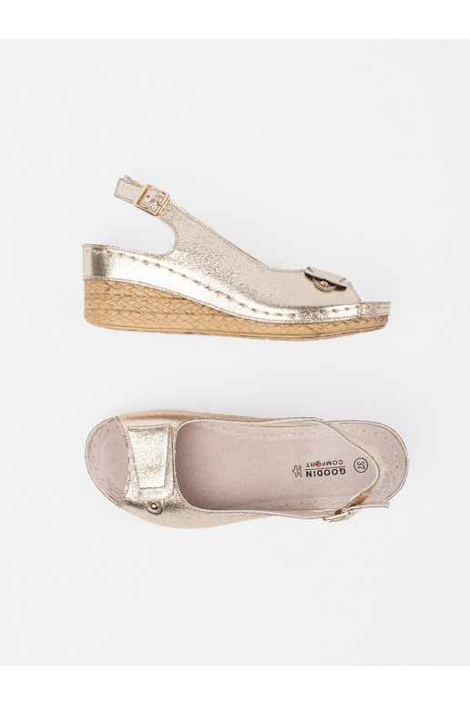 Kuldset värvi kingad  Kuldset värvi kingad