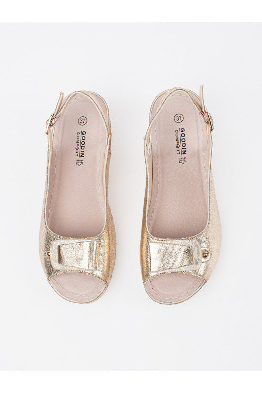 Kuldset värvi kingad  Kuldset värvi kingad