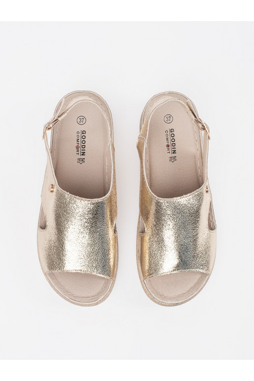 Kuldset värvi  kingad 