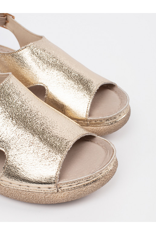 Kuldset värvi  kingad 