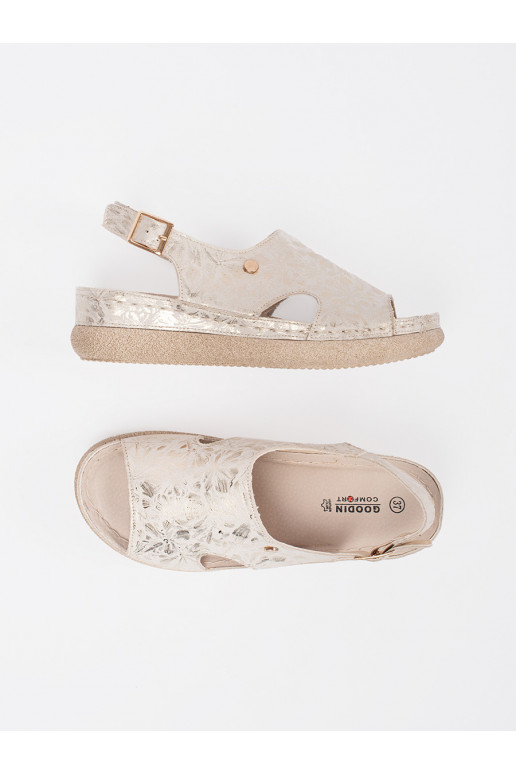 Elevandiluu värvi  kingad 