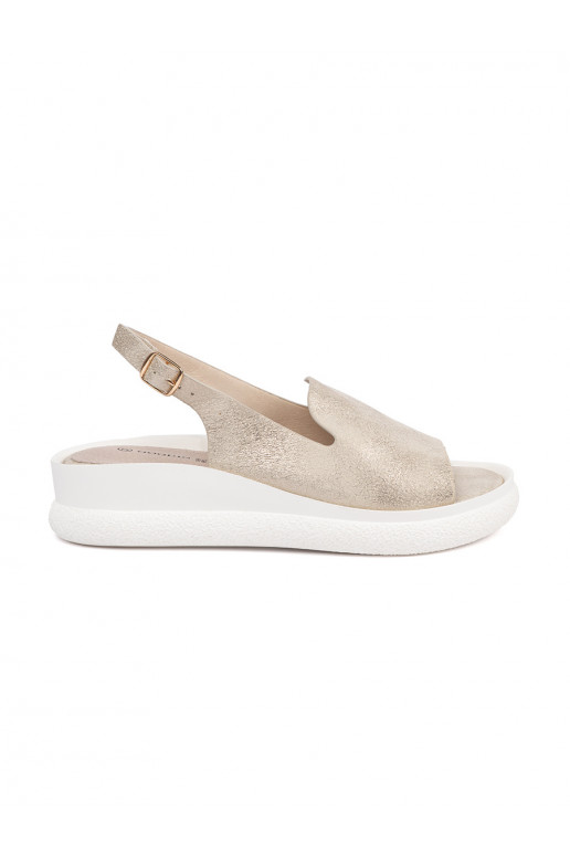 Kuldset värvi  kingad 