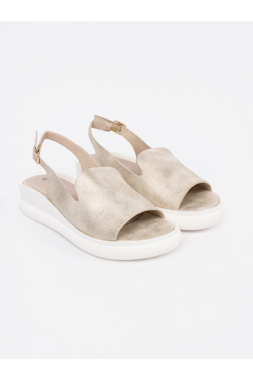 Kuldset värvi  kingad 