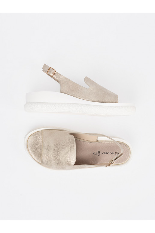 Kuldset värvi  kingad 