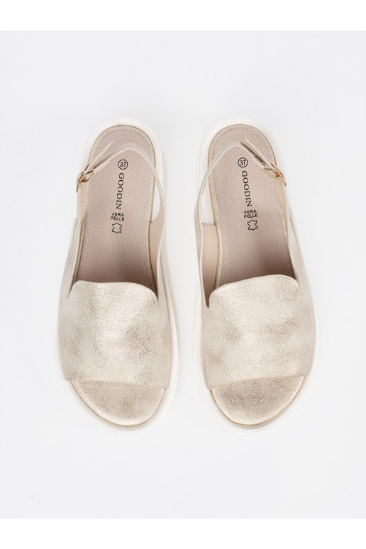 Kuldset värvi  kingad 