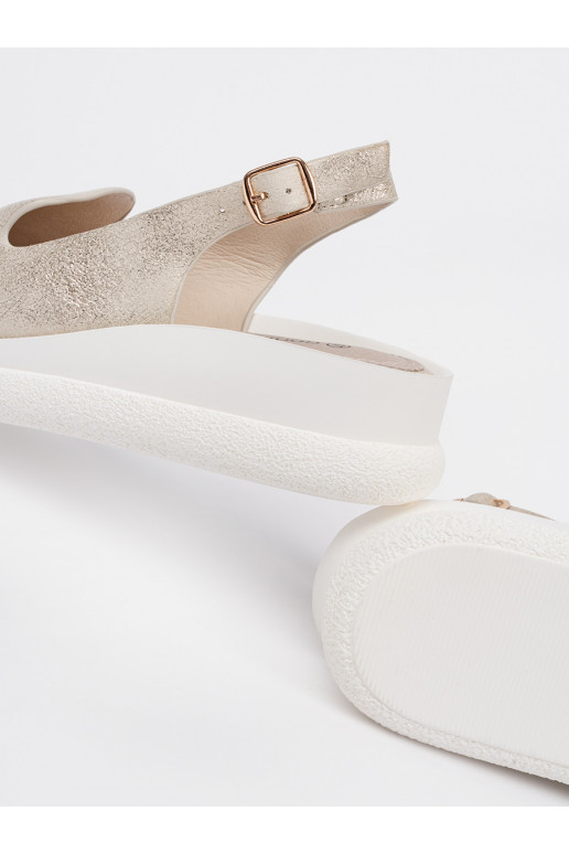 Kuldset värvi  kingad 