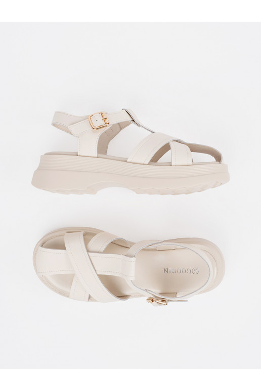 Elevandiluu värvi kingad 