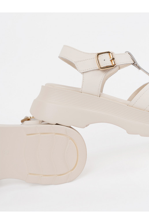 Elevandiluu värvi kingad 