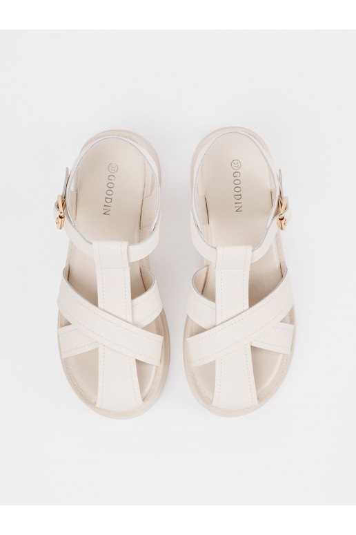 Elevandiluu värvi kingad 