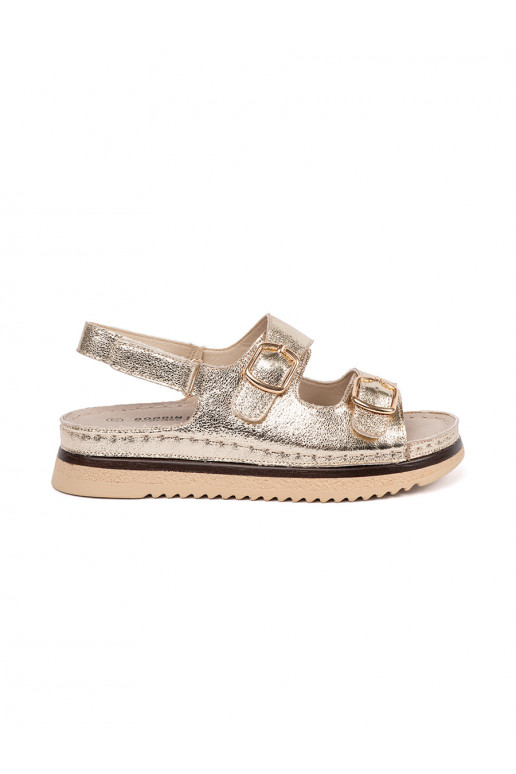 Kuldset värvi kingad ze mi elementami