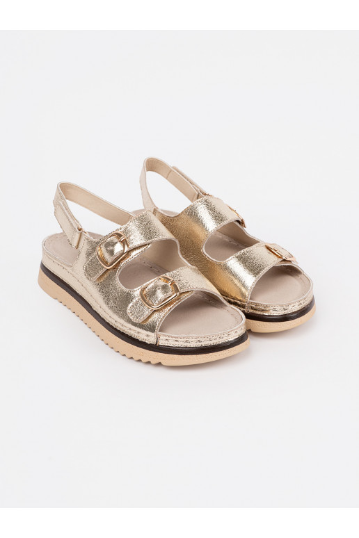 Kuldset värvi kingad ze mi elementami