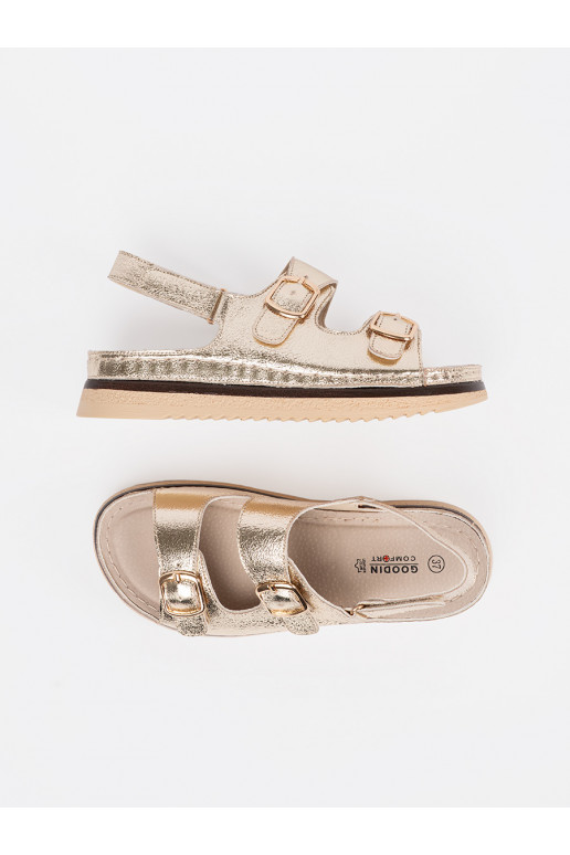 Kuldset värvi kingad ze mi elementami