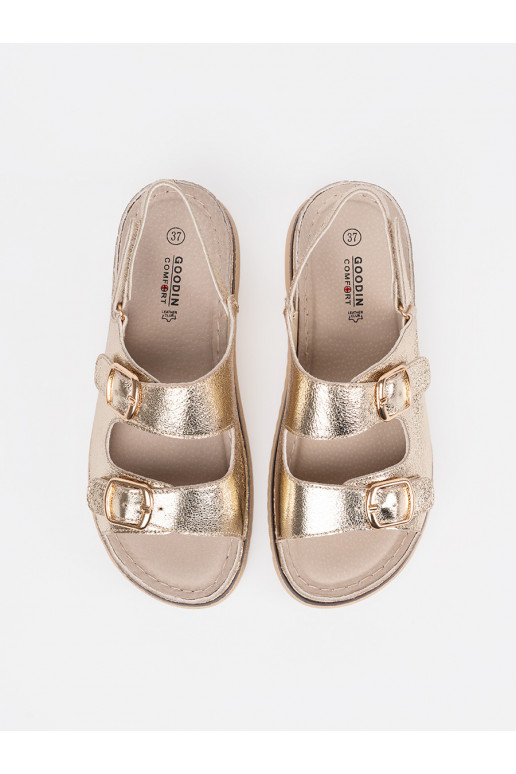 Kuldset värvi kingad ze mi elementami