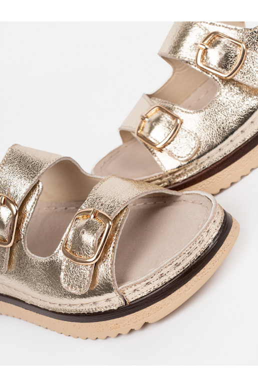 Kuldset värvi kingad ze mi elementami