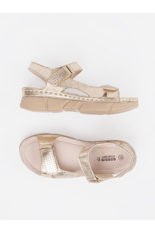 Kuldset värvi  kingad 