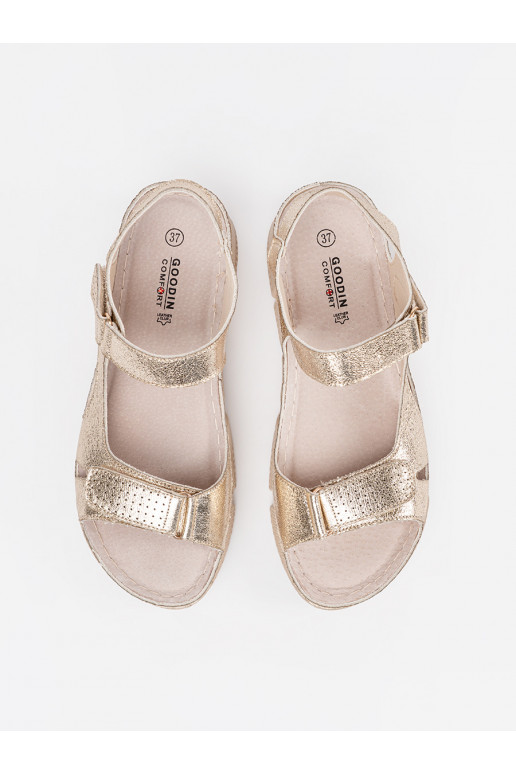 Kuldset värvi  kingad 