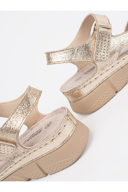 Kuldset värvi  kingad 